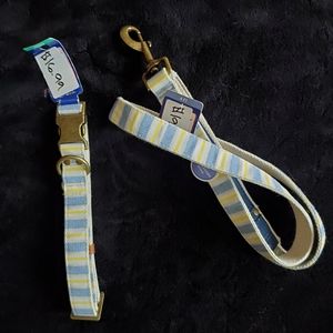 Large Dog Collar with Leash